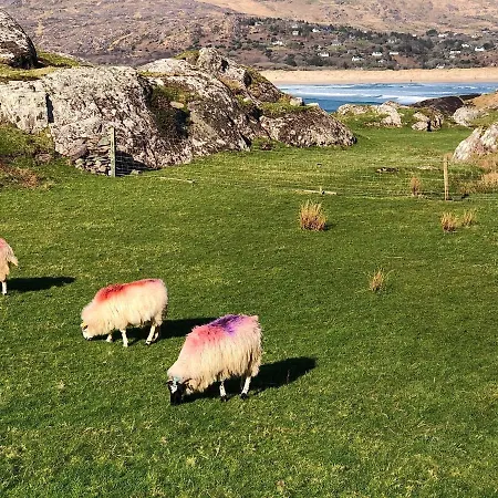 Derrynane Bay House Oda ve Kahvaltı