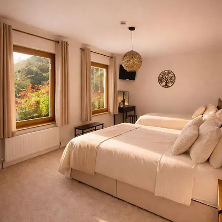 Derrynane Bay House 카헤르다니엘