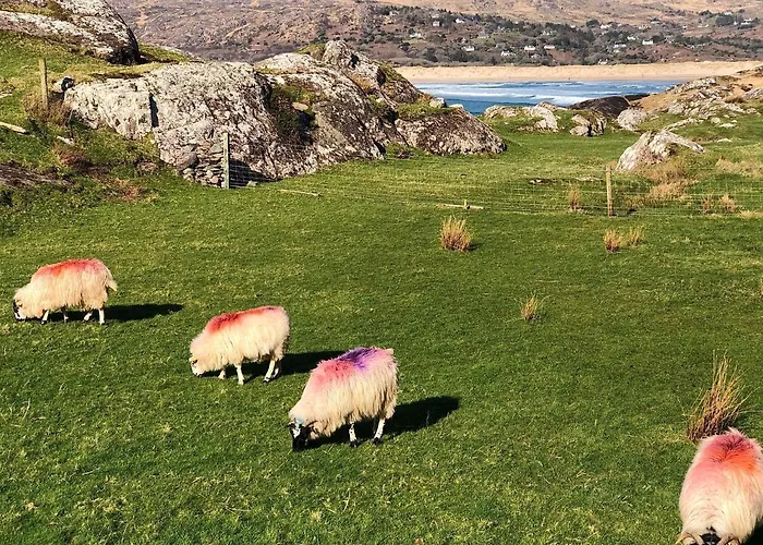 Derrynane Bay House Bed & Breakfast